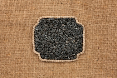 Similar image 21937800