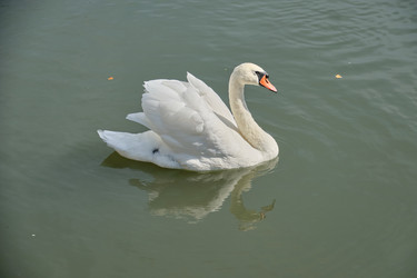 Similar image 21936661