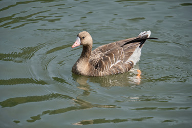 Similar image 21936662