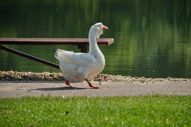 Similar image 21936663