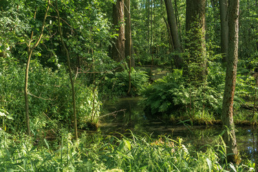 Similar image 21937168