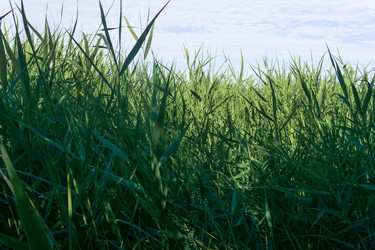 Similar image 21937170