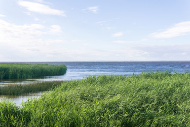 Similar image 21937172