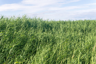 Similar image 21937173