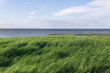 Similar image 21937174