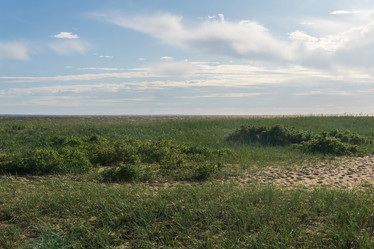 Similar image 21937176