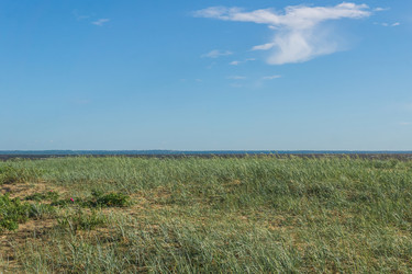 Similar image 21937177