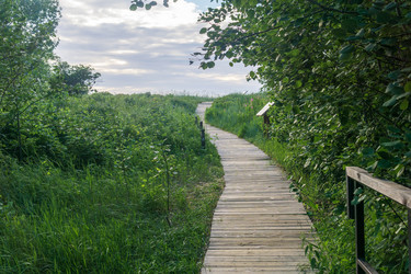 Similar image 21937178