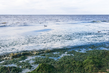 Similar image 21937182