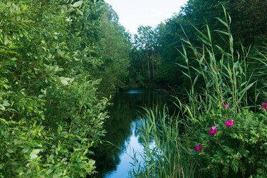 Similar image 21937183