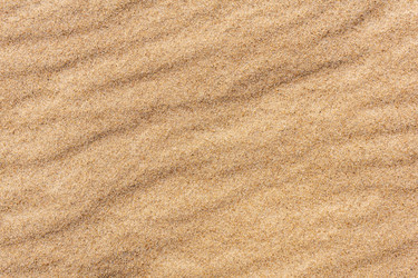 Similar image 21937184