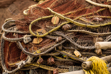 Similar image 21938855