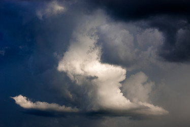 Similar image 21939003