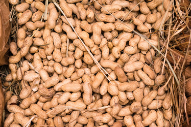 Similar image 21939007