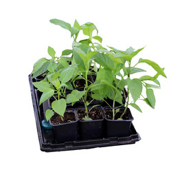 Similar image 21936141