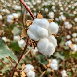 Similar image 21935808