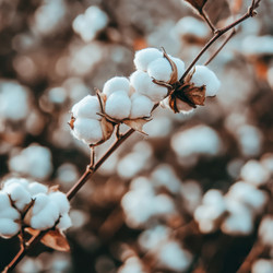 Similar image 21935809