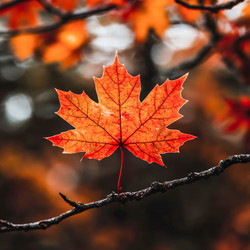 Similar image 21935810