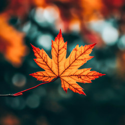 Similar image 21935811