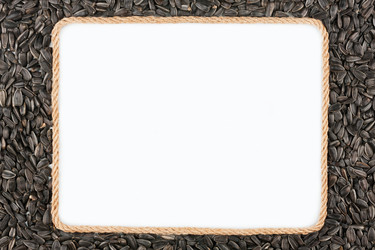 Similar image 21945533