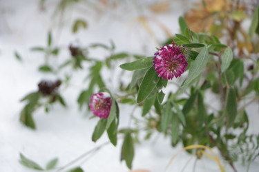 Similar image 21938687