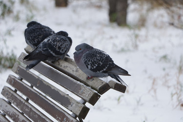 Similar image 21938688