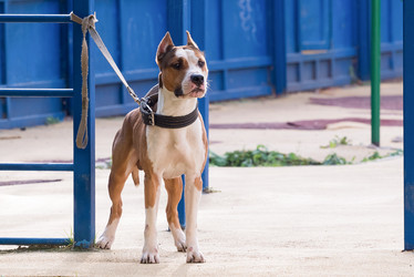 Similar image 21938897