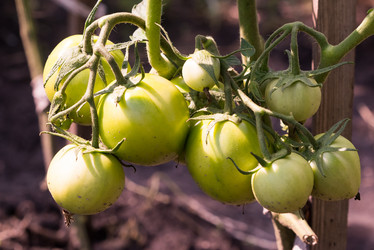 Similar image 21938911