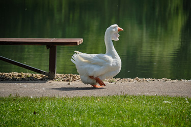 Similar image 21936668