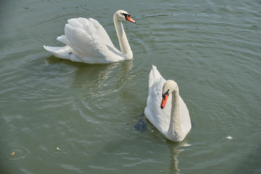 Similar image 21936670