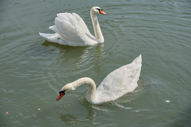 Similar image 21936671