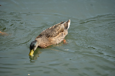 Similar image 21936673