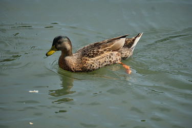 Similar image 21936674