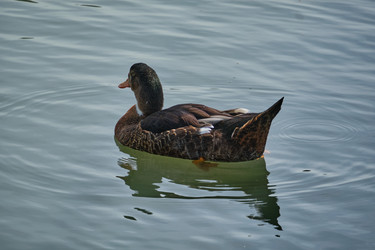 Similar image 21936675