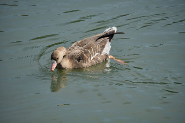 Similar image 21936676