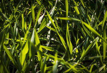 Similar image 21937191