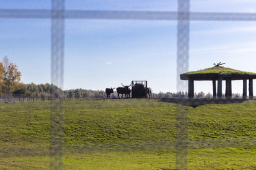 Similar image 21937195