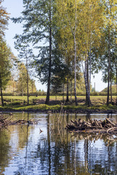 Similar image 21937197