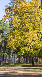 Similar image 21937198