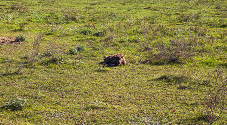 Similar image 21937199