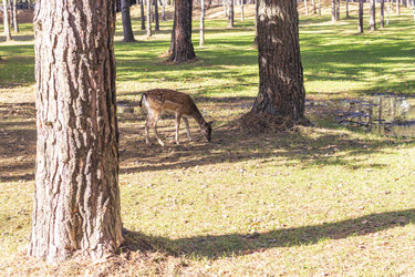 Similar image 21937200