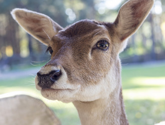 Similar image 21937201