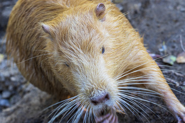 Similar image 21937202