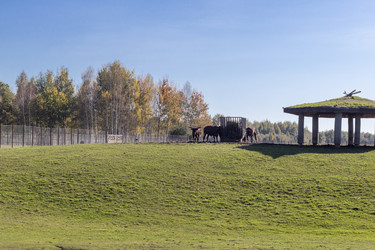 Similar image 21937204