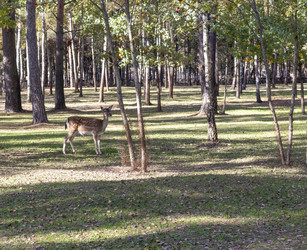 Similar image 21937205