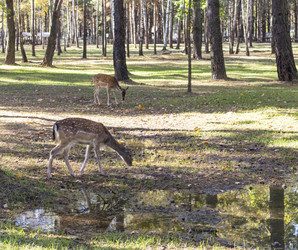 Similar image 21937206