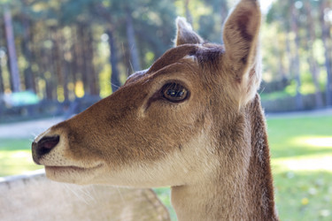 Similar image 21937207