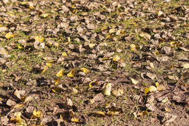 Similar image 21937208