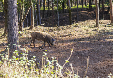 Similar image 21937209