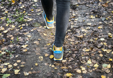 Similar image 21937211